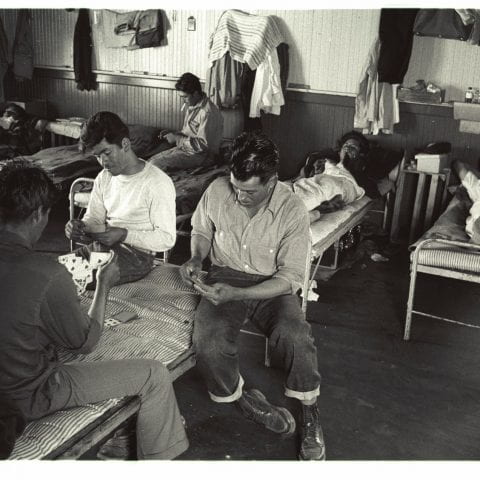 Photograph of Mexican guestworkers playing cards